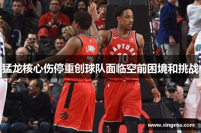 猛龙核心伤停重创球队面临空前困境和挑战