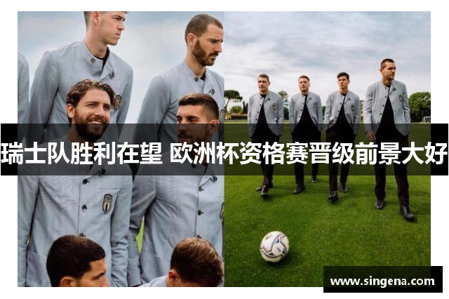 瑞士队胜利在望 欧洲杯资格赛晋级前景大好