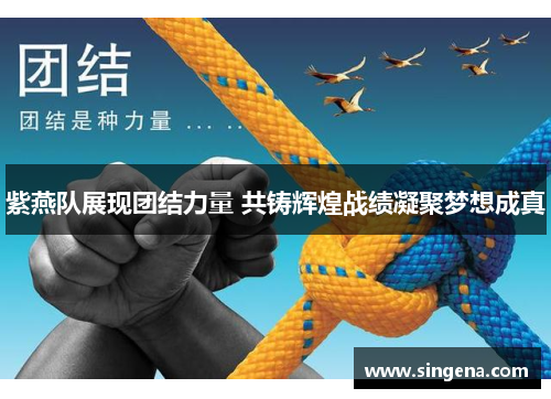紫燕队展现团结力量 共铸辉煌战绩凝聚梦想成真