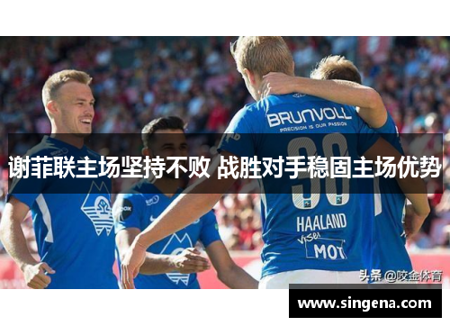谢菲联主场坚持不败 战胜对手稳固主场优势