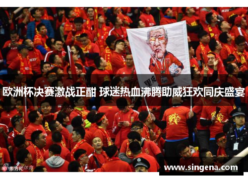 欧洲杯决赛激战正酣 球迷热血沸腾助威狂欢同庆盛宴