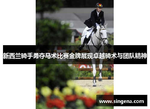 新西兰骑手勇夺马术比赛金牌展现卓越骑术与团队精神