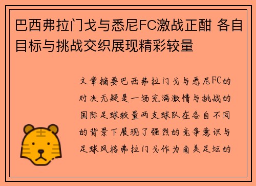 巴西弗拉门戈与悉尼FC激战正酣 各自目标与挑战交织展现精彩较量